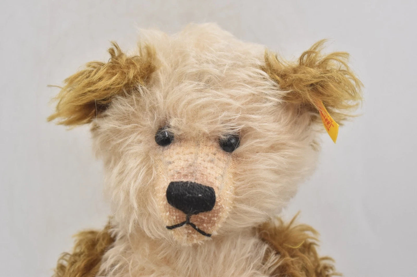 Steiff Cappuccino Mohair Teddy Bear 35cm 001000 Retired