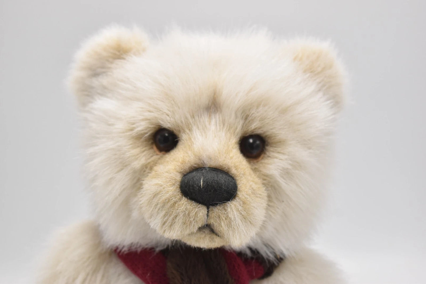 Charlie Bears Birthday Bear 2020 Teddy Bear Retired Tagged Isabelle Lee
