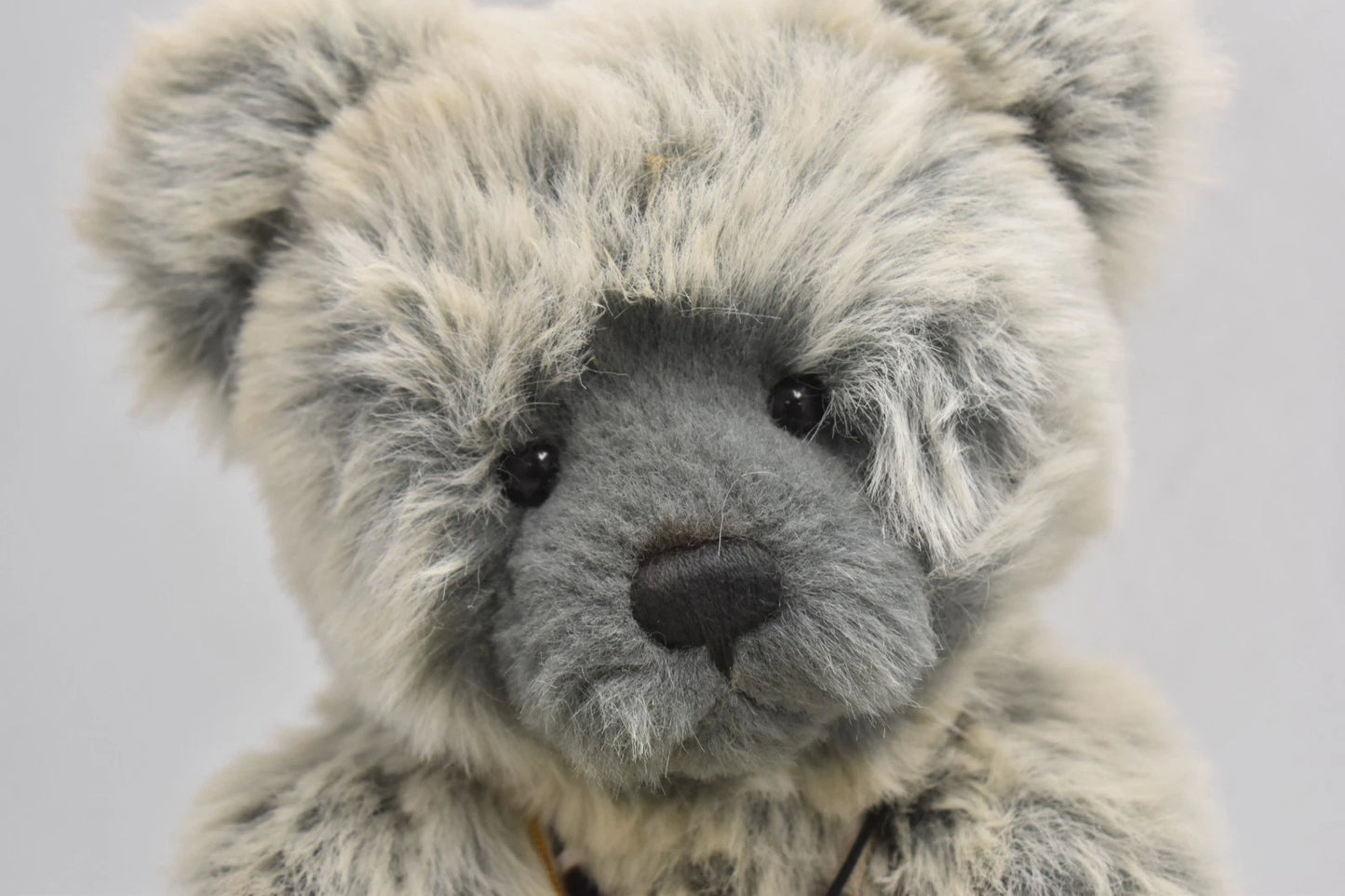 Charlie Bears Joey Teddy Bear Retired Isabelle Lee Designed Teddy Bear Tagged