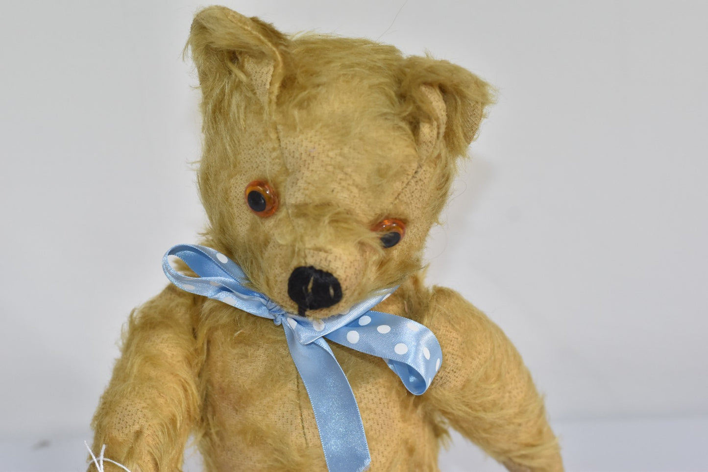 Vintage 1950s Pedigree Mohair Teddy Bear with Working Growler