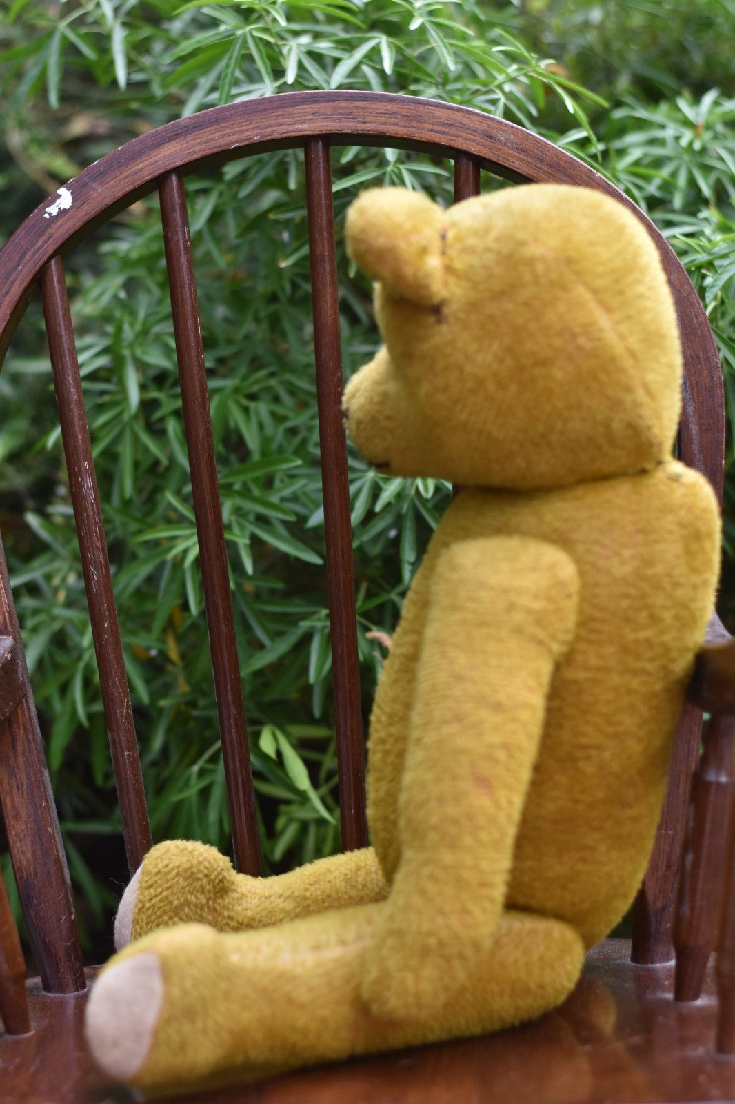 Vintage 1920s Schuco Mohair Teddy Bear – 58cm