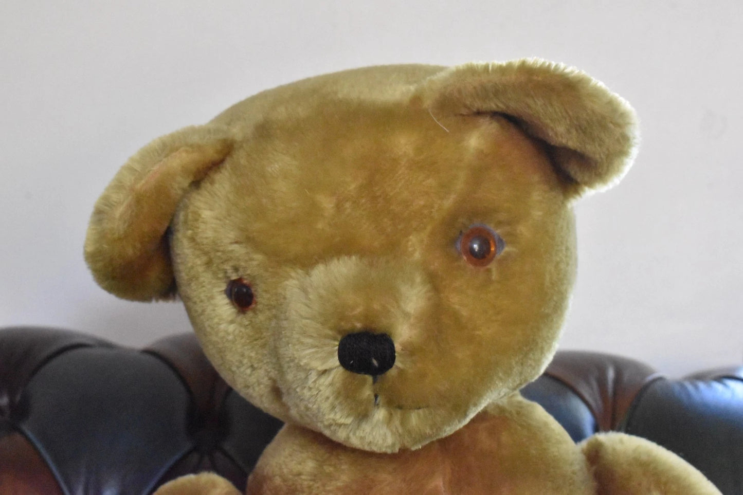 Vintage 1950s Pedigree Mohair Teddy Bear Bells 70cm Large Collectable