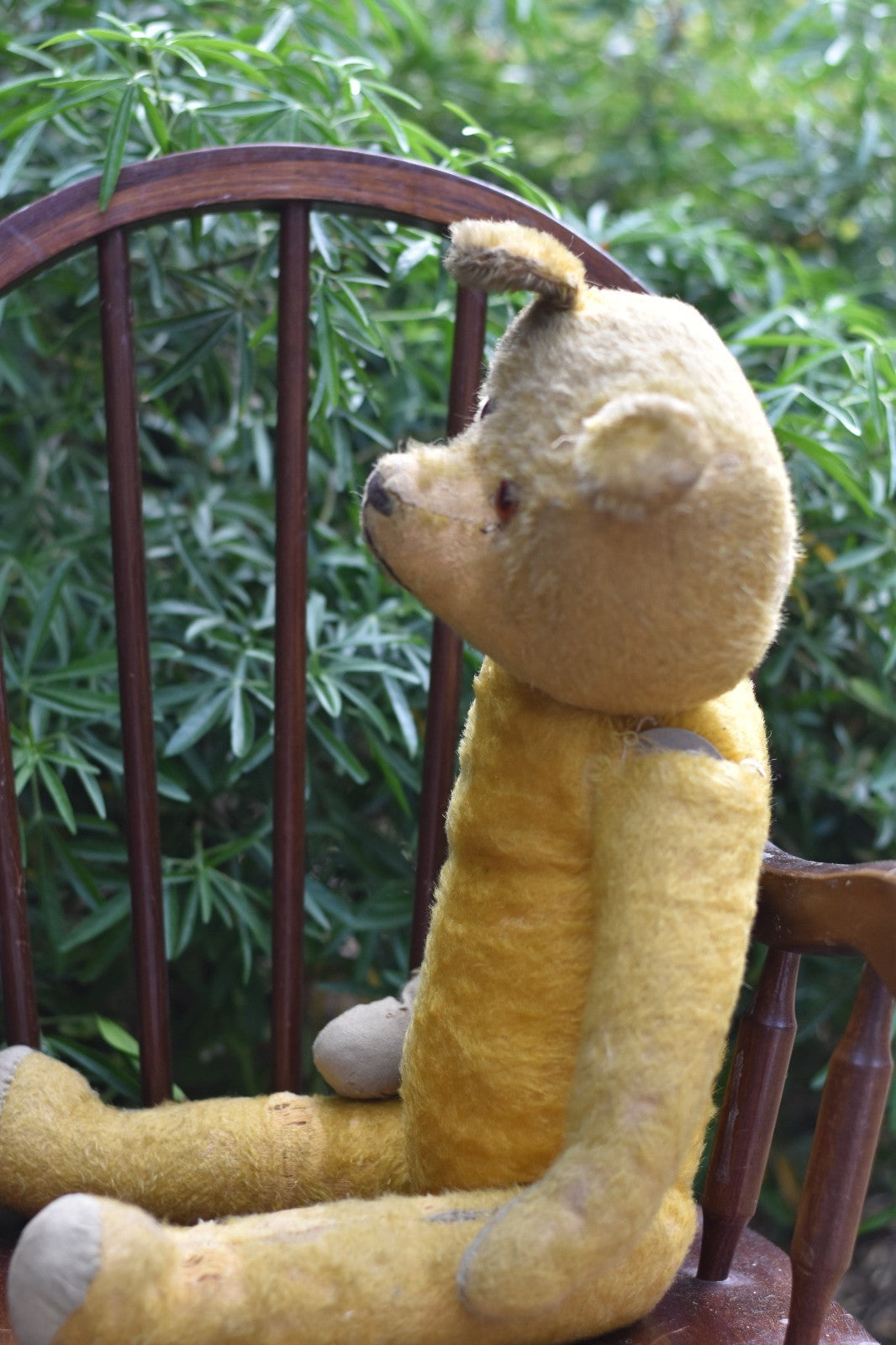 Vintage 1920s American Mohair Teddy Bear Chuck 60cm, Fully Jointed, Wood Wool
