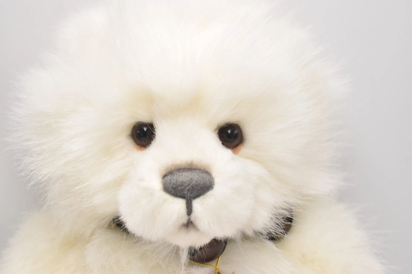 Charlie Bears Daria Teddy Bear Retired Tagged Isabelle Lee Designed
