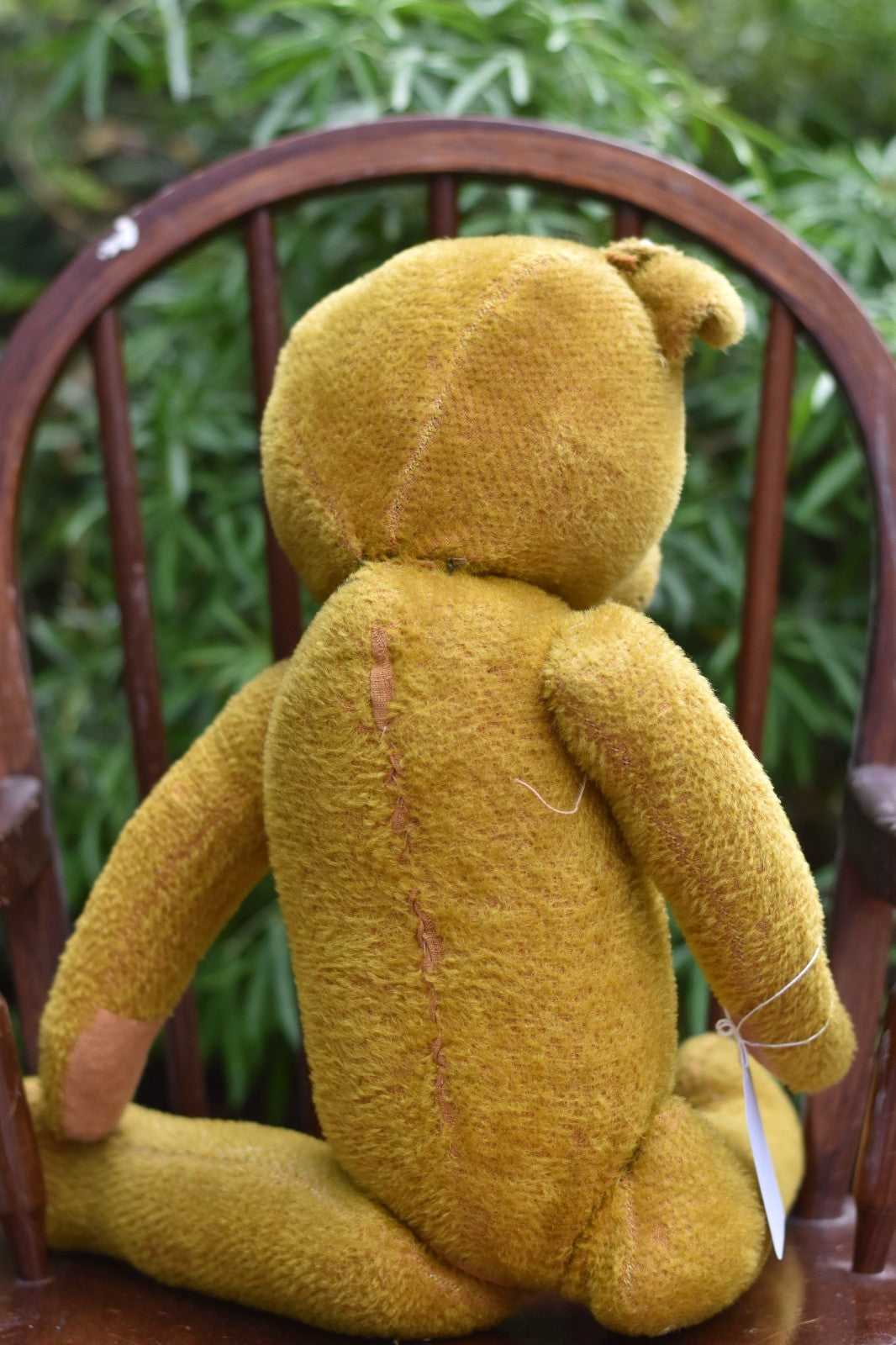 Vintage 1920s Schuco Mohair Teddy Bear – 58cm