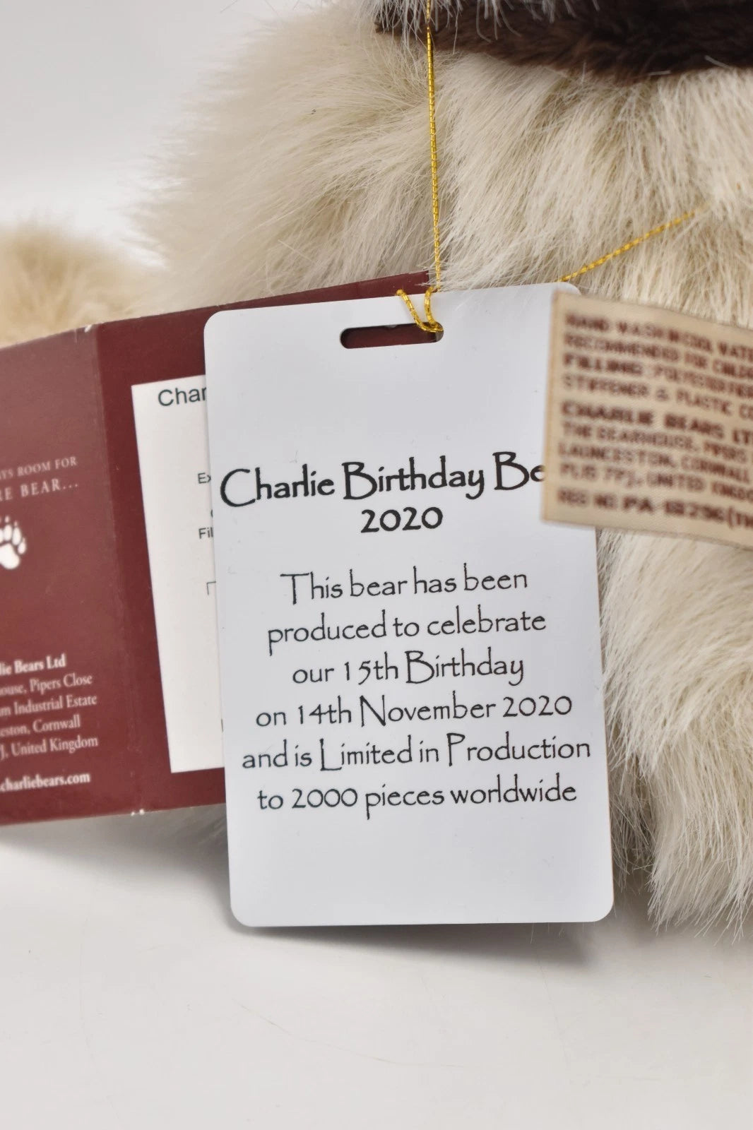 Charlie Bears Birthday Bear 2020 Teddy Bear Retired Tagged Isabelle Lee