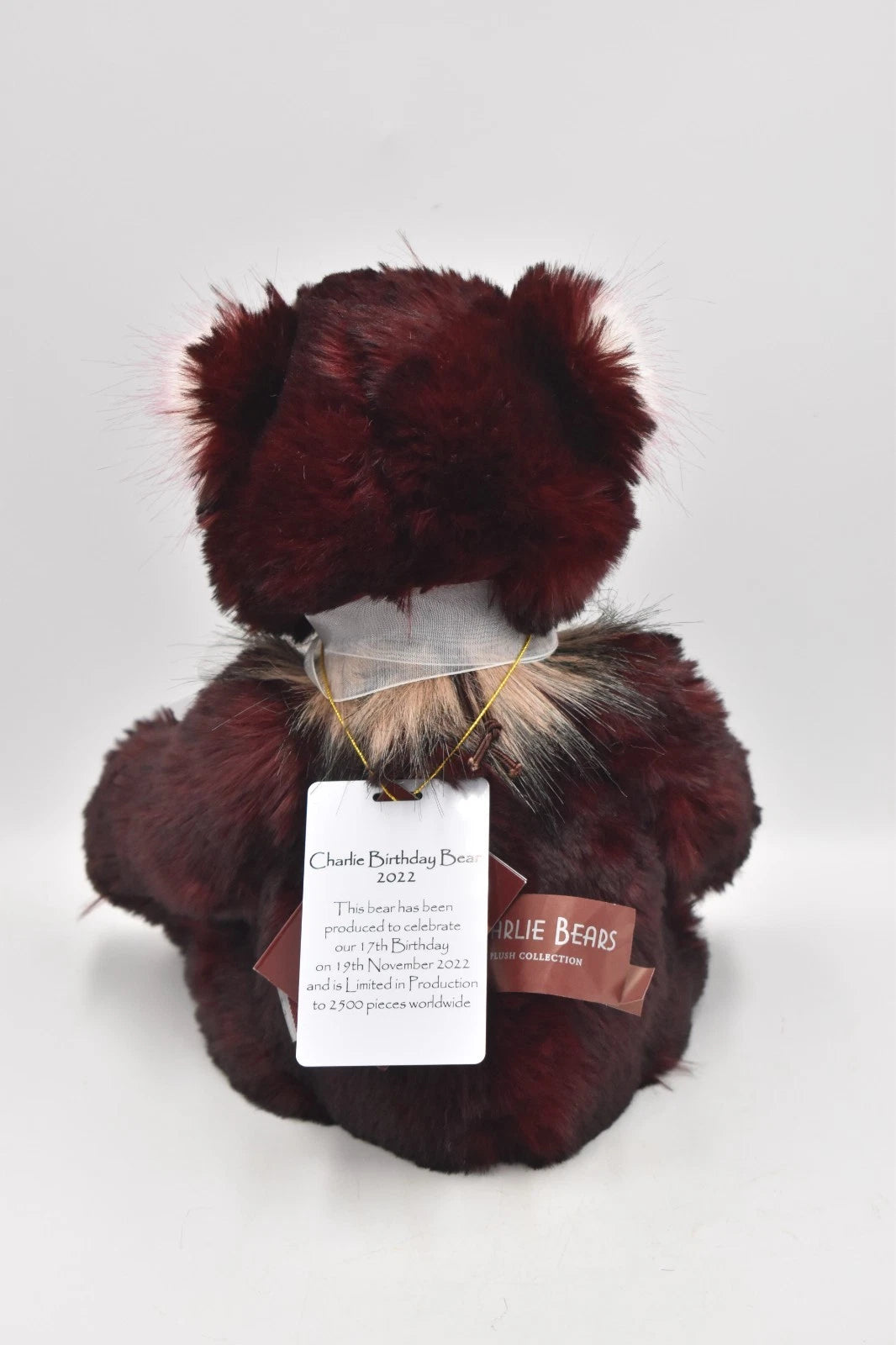 Charlie Bears Birthday Bear 2022 Teddy Bear Retired Tagged Isabelle Lee Designed