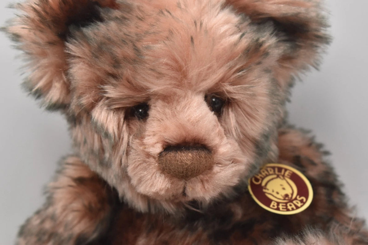 Charlie Bears Ashley Teddy Bear Retired Tagged Isabelle Lee Designed