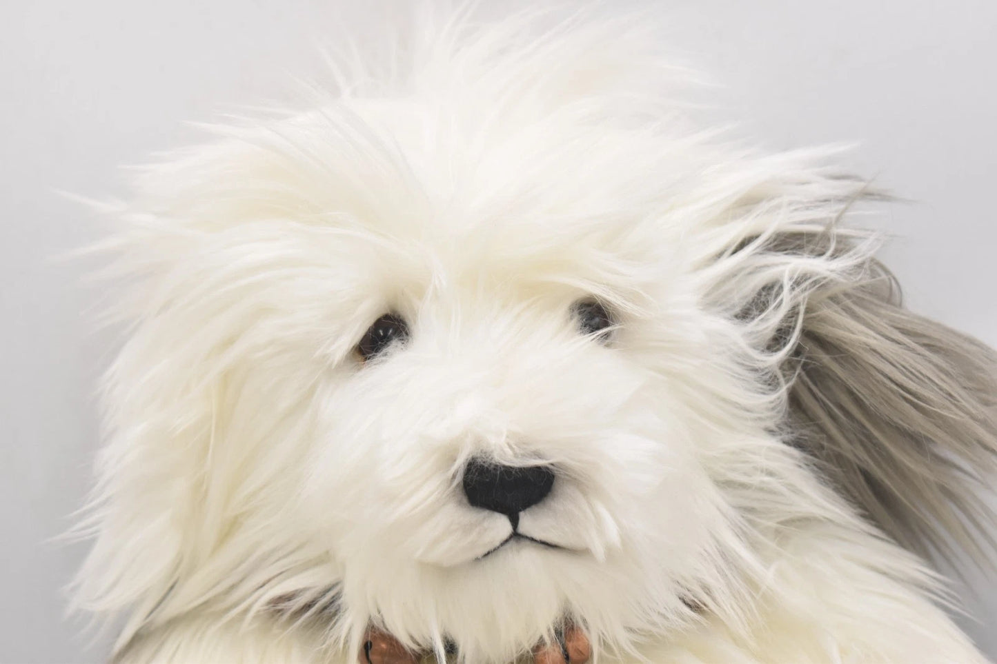 Charlie Bears Campbell Dog Teddy Bear Isabelle Lee Design Tagged