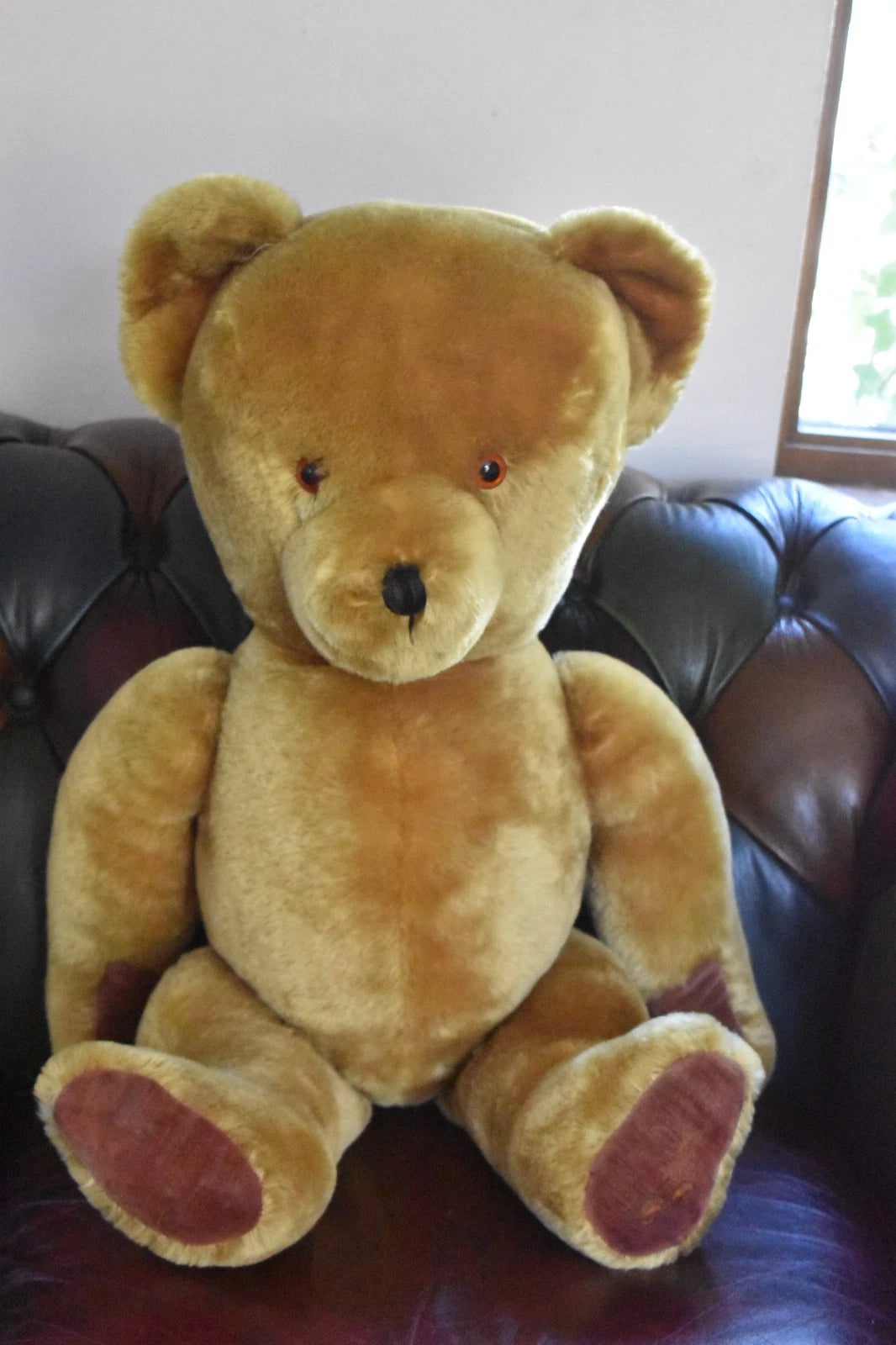 Vintage 1950s Pedigree Mohair Teddy Bear Winnie The Pooh Bells 70cm Collectable