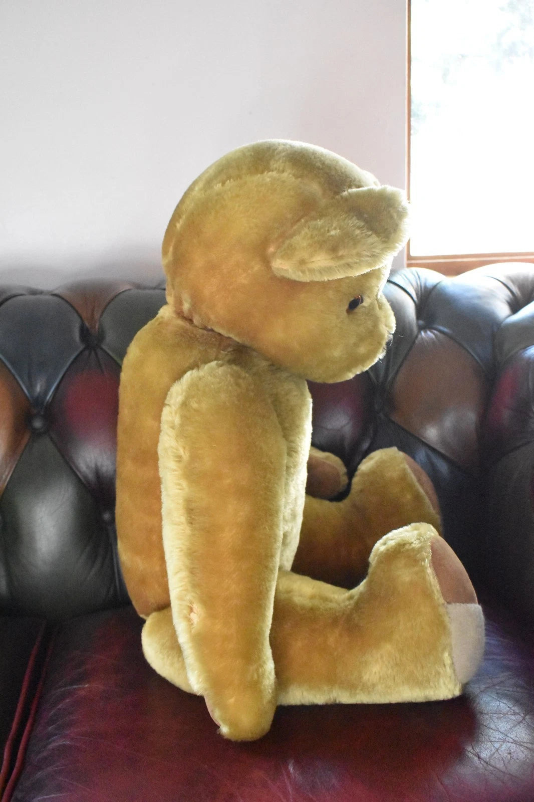 Vintage 1950s Pedigree Mohair Teddy Bear Bells Working Growler 70cm Collectable