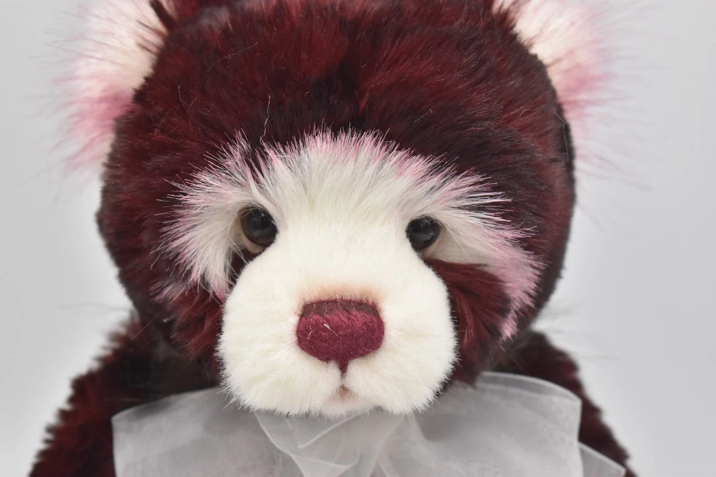 Charlie Bears Birthday Bear 2022 Teddy Bear Retired Tagged Isabelle Lee Designed