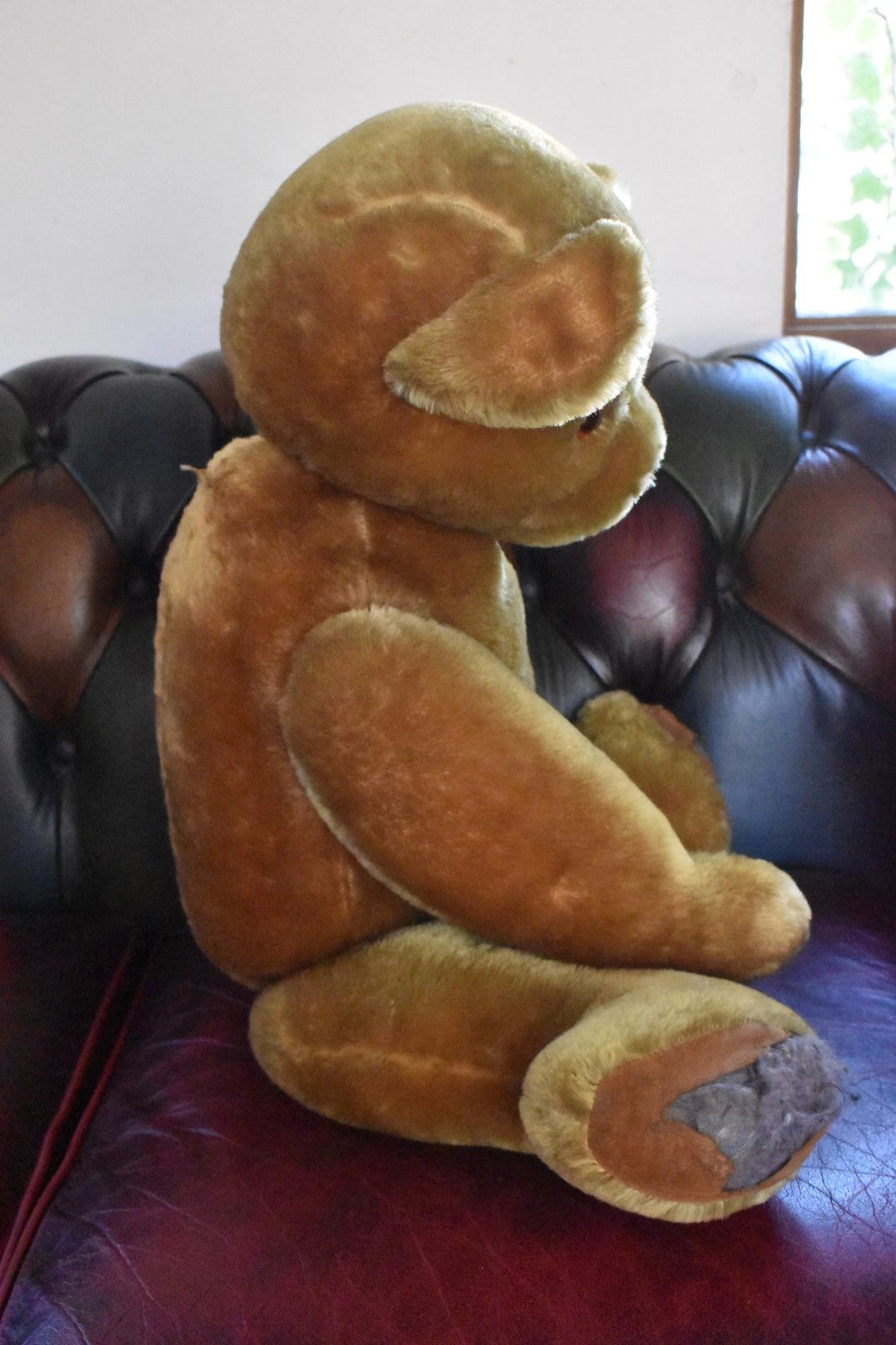 Vintage 1950s Pedigree Mohair Teddy Bear Bells 70cm Large Collectable