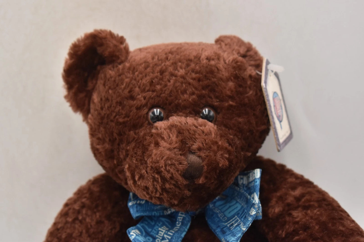 The Ben Bear Collection World Traveller Indianapolis Teddy Bear