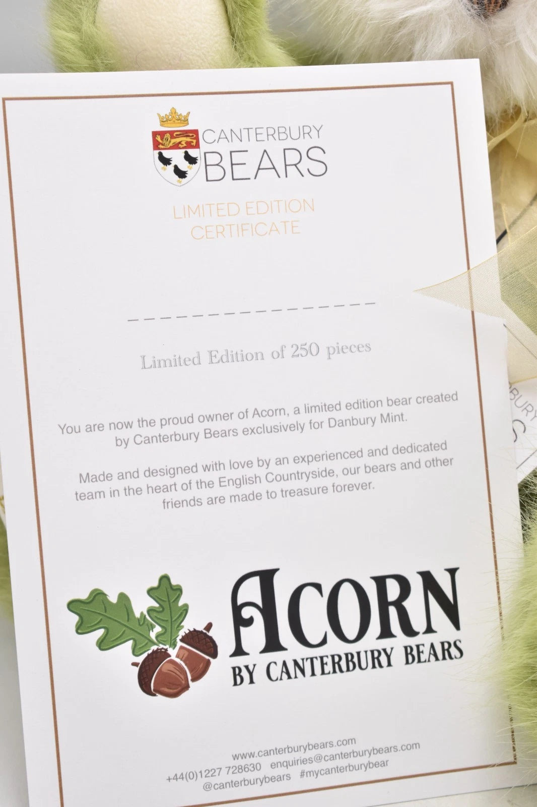 Canterbury Bears Acorn Green Plush Teddy Bear Limited Edition 57 of 250 Soft Toy