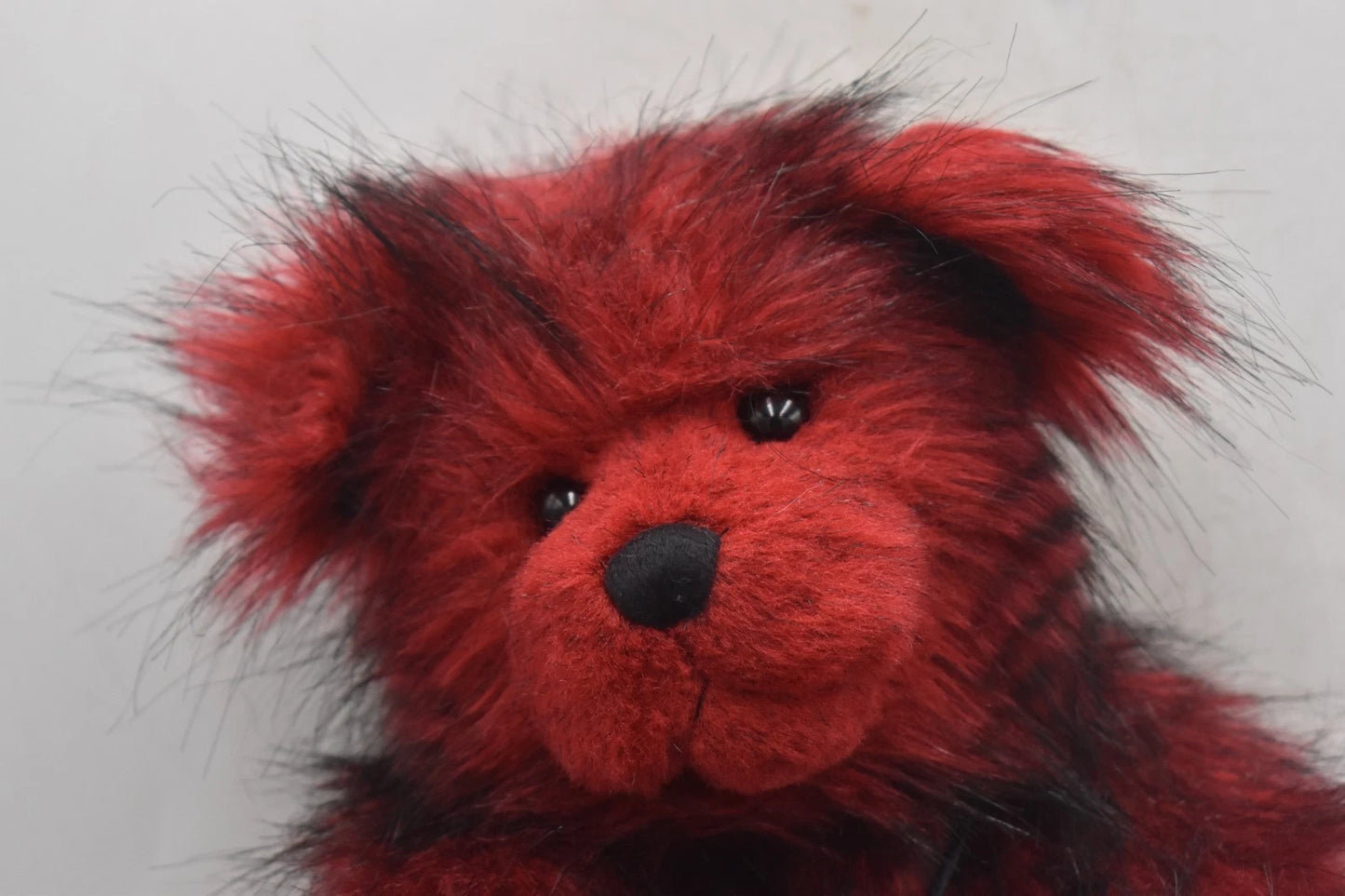 Charlie Bears Giga Teddy Bear Retired Limited Edition 403/1000 Tagged