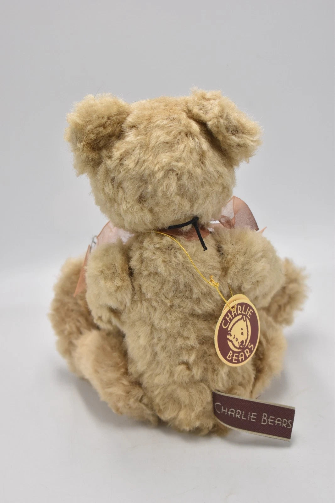 Charlie Bears Little D Teddy Bear Retired Tagged Isabelle Lee Designed Plush