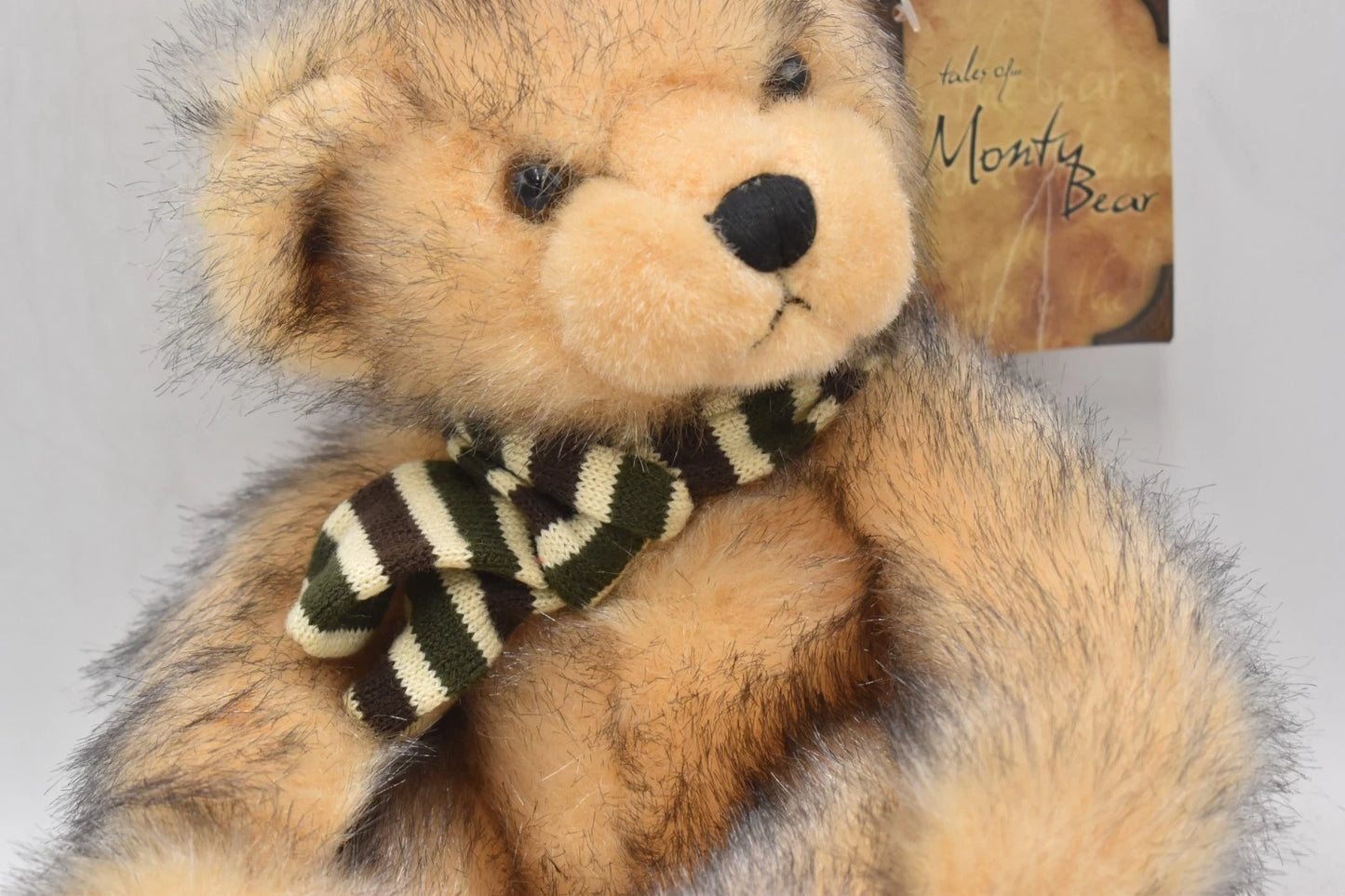 Tales of Monty Bear Plush Teddy Bear – Lesser & Pavey Tagged Soft Toy