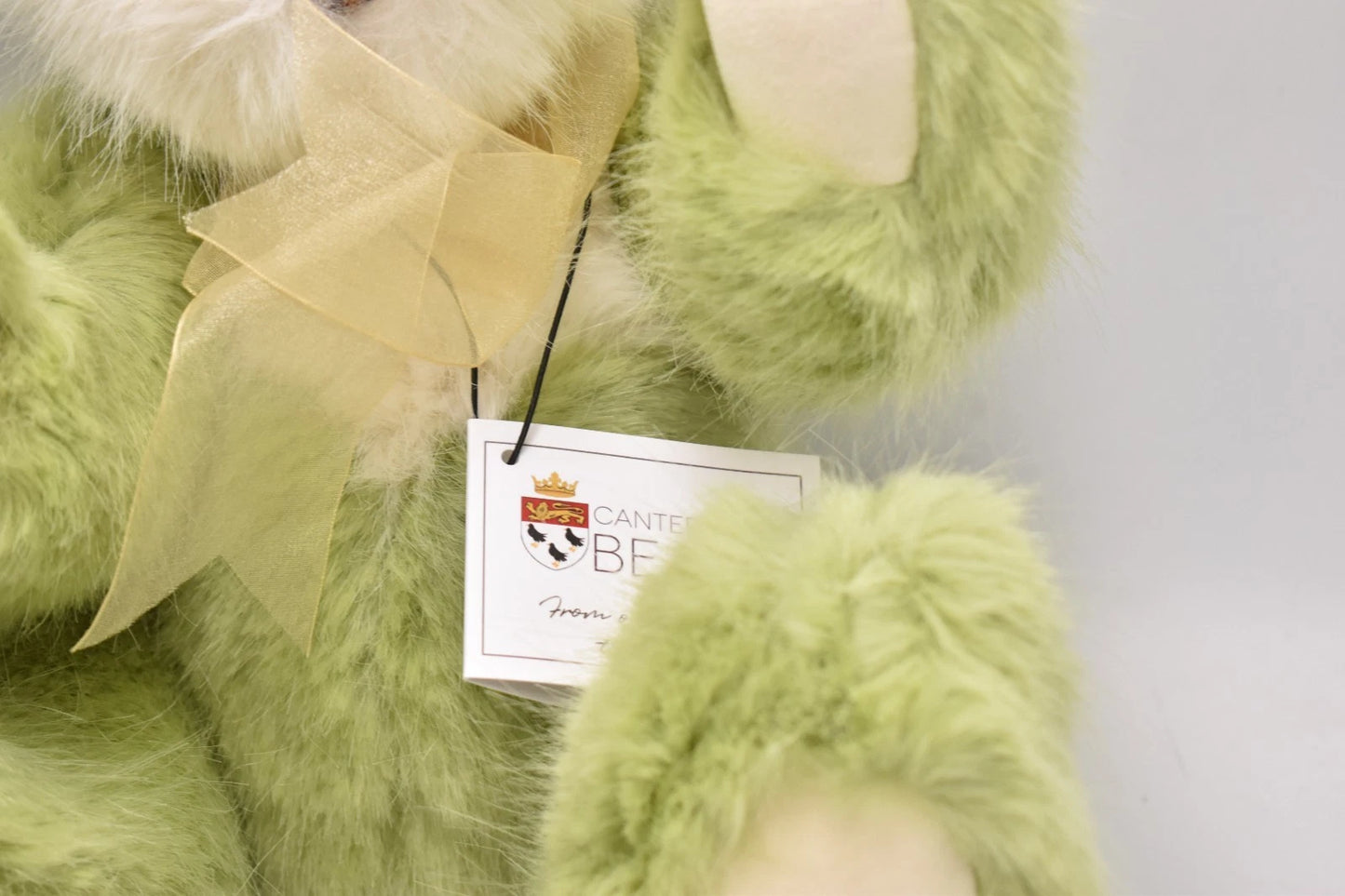 Canterbury Bears Acorn Green Plush Teddy Bear Limited Edition 57 of 250 Soft Toy