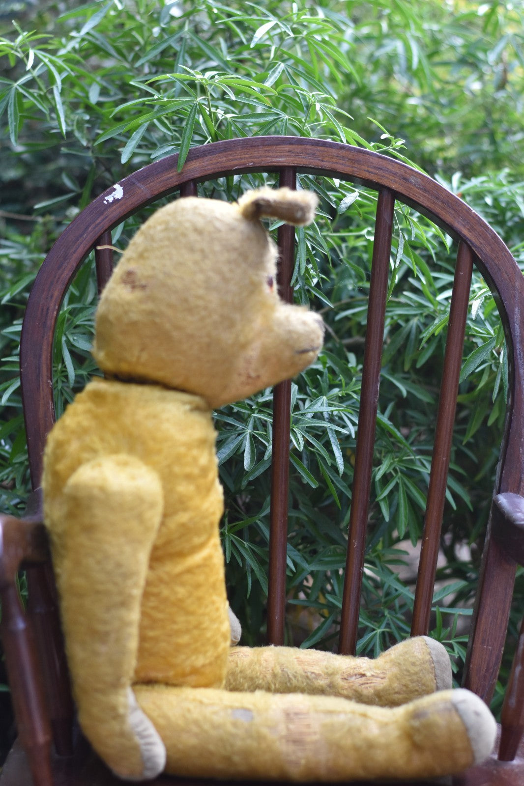 Vintage 1920s American Mohair Teddy Bear Chuck 60cm, Fully Jointed, Wood Wool