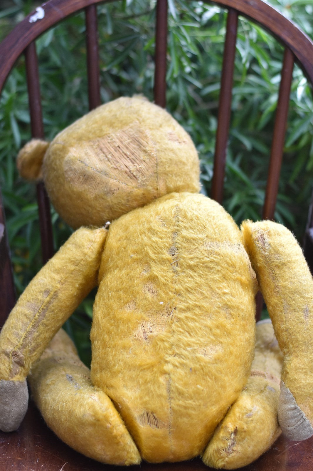 Vintage 1920s American Mohair Teddy Bear Chuck 60cm, Fully Jointed, Wood Wool