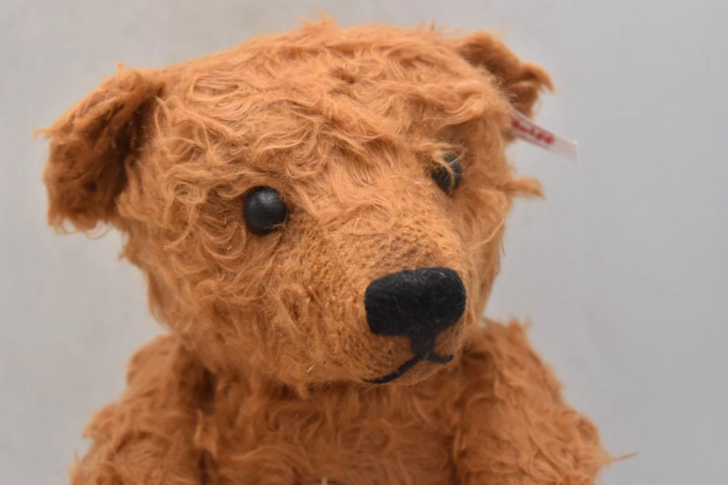 Steiff Linus Teddies For Tomorrow Linen Bear 006104 – Limited Edition 32cm