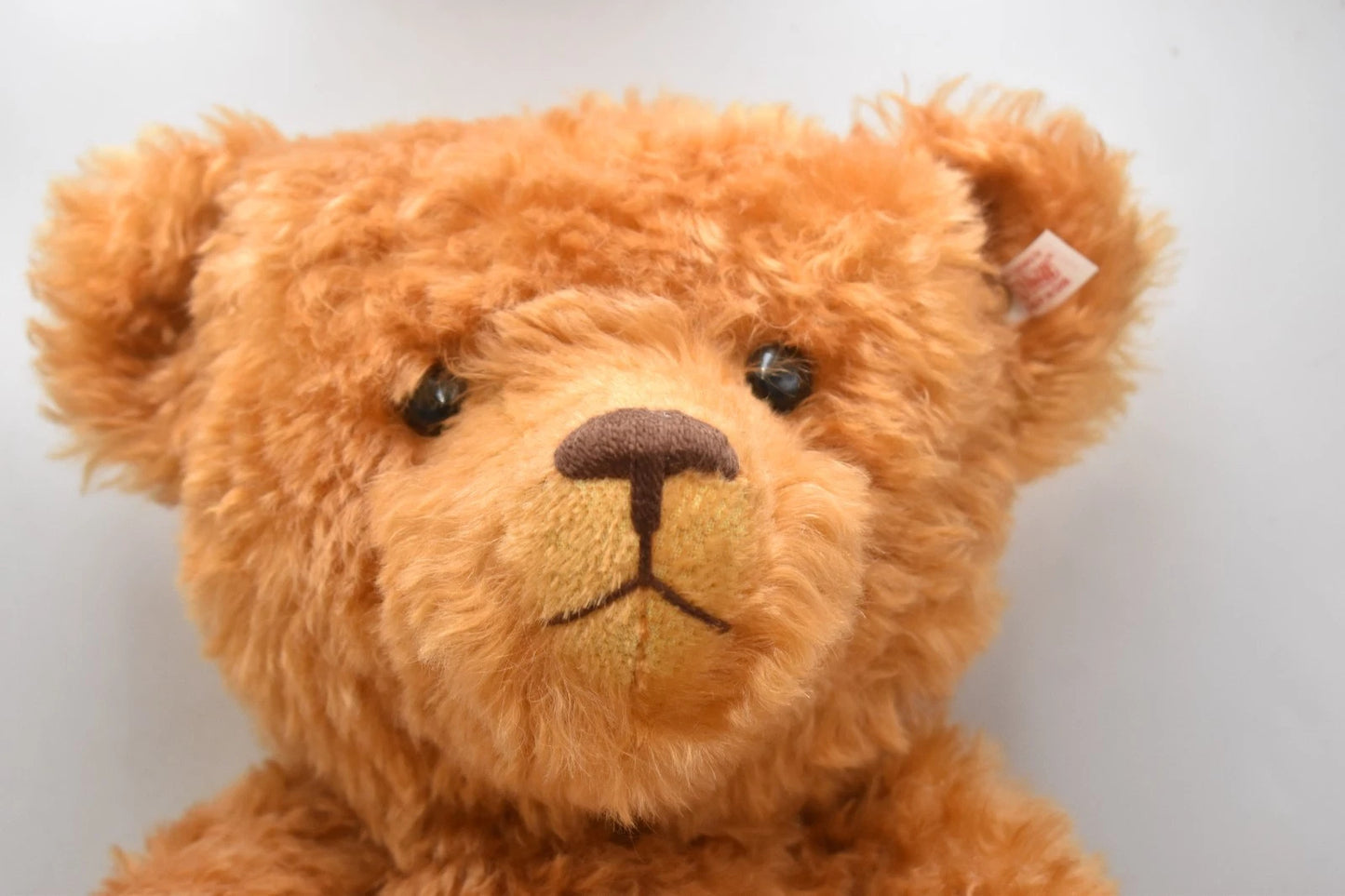 Steiff Classic Red Brown Teddy Bear 037054 Limited Edition Growler 60cm