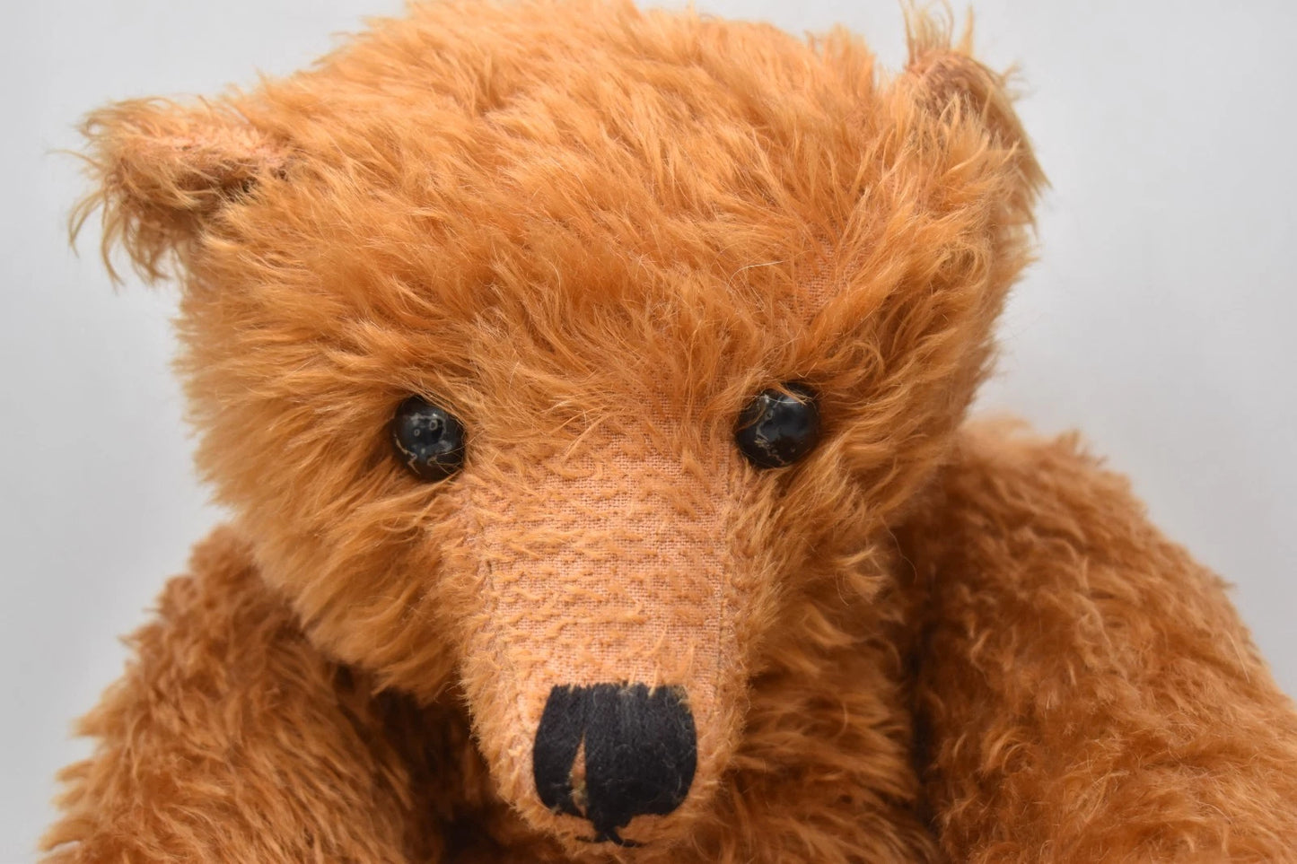 Vintage Brigitte Smith George Pawtrait Bears Artist Teddy Bear – Growler