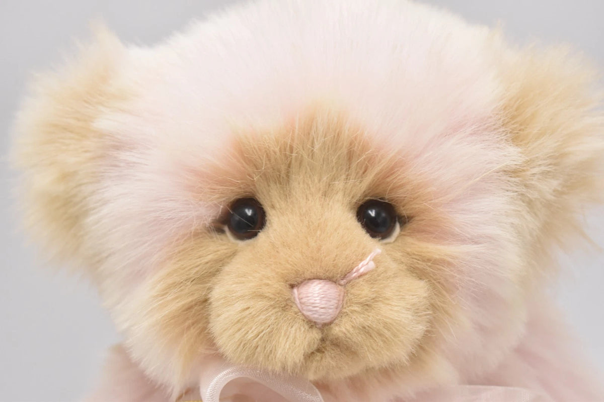 Charlie Bears Callie Teddy Bear Retired Tagged Isabelle Lee Designed