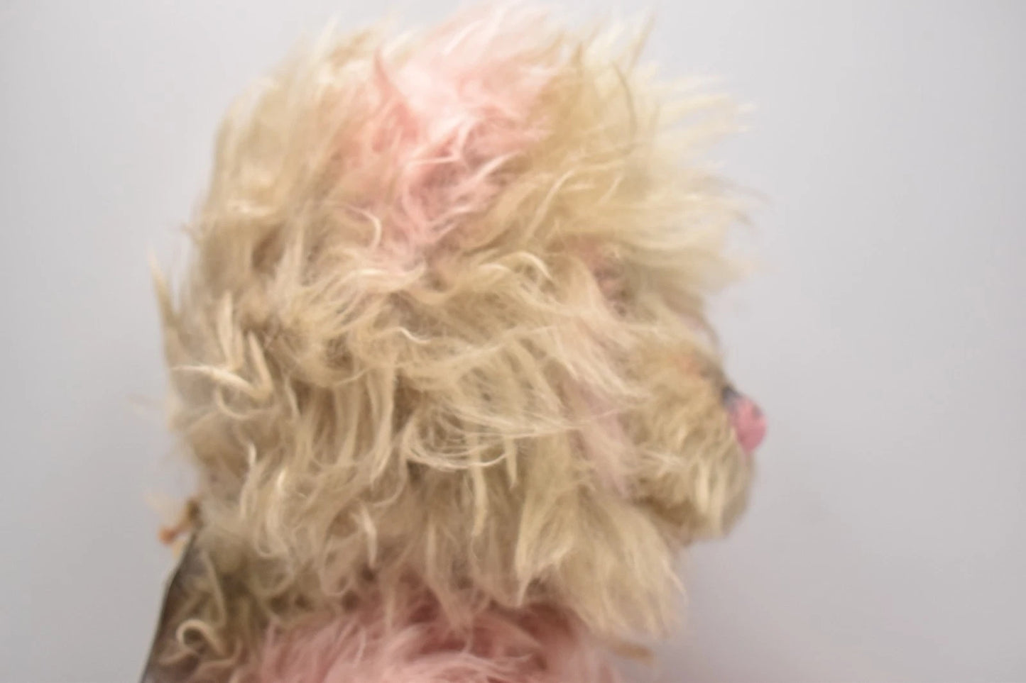 Charlie Bears Miss Haversham Isabelle Collection Limited Edition Retired Mohair