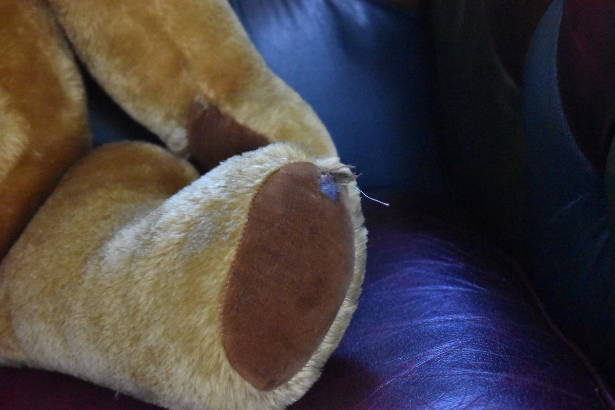 Vintage 1950s Pedigree Mohair Teddy Bear Bells 70cm Large Collectable