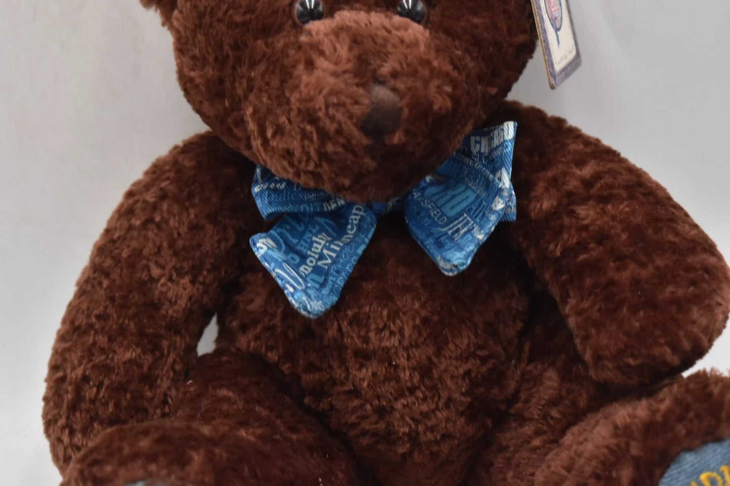 The Ben Bear Collection World Traveller Indianapolis Teddy Bear