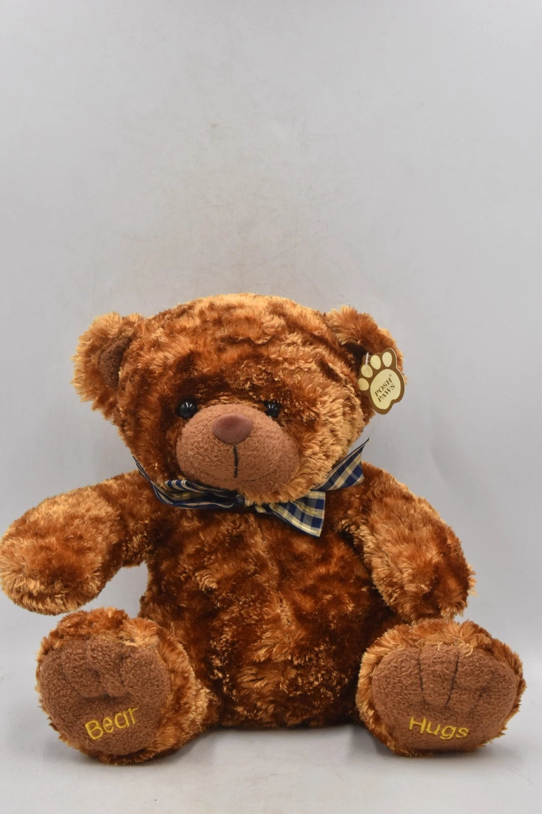 Posh Paws Bear Hugs Plush Teddy Bear 27cm