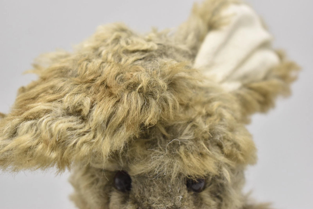 Charlie Bears Hop Rabbit Teddy Bear Retired Tagged