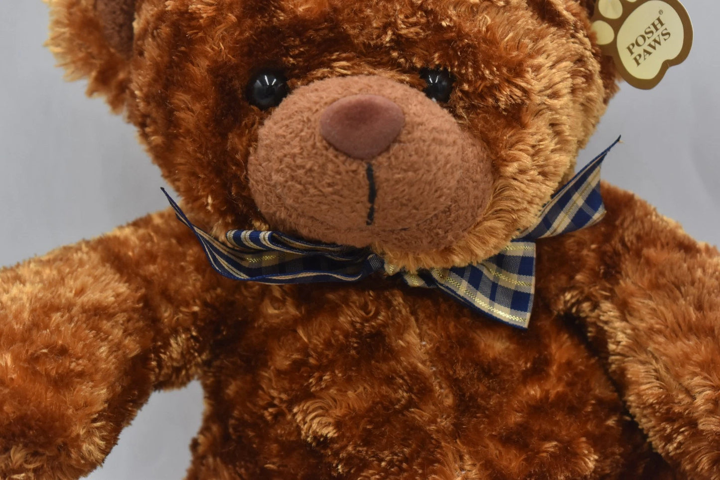 Posh Paws Bear Hugs Plush Teddy Bear 27cm