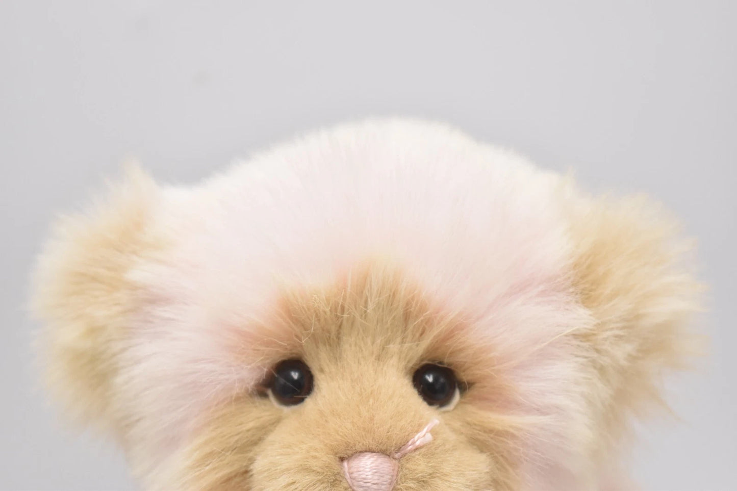 Charlie Bears Callie Teddy Bear Retired Tagged Isabelle Lee Designed