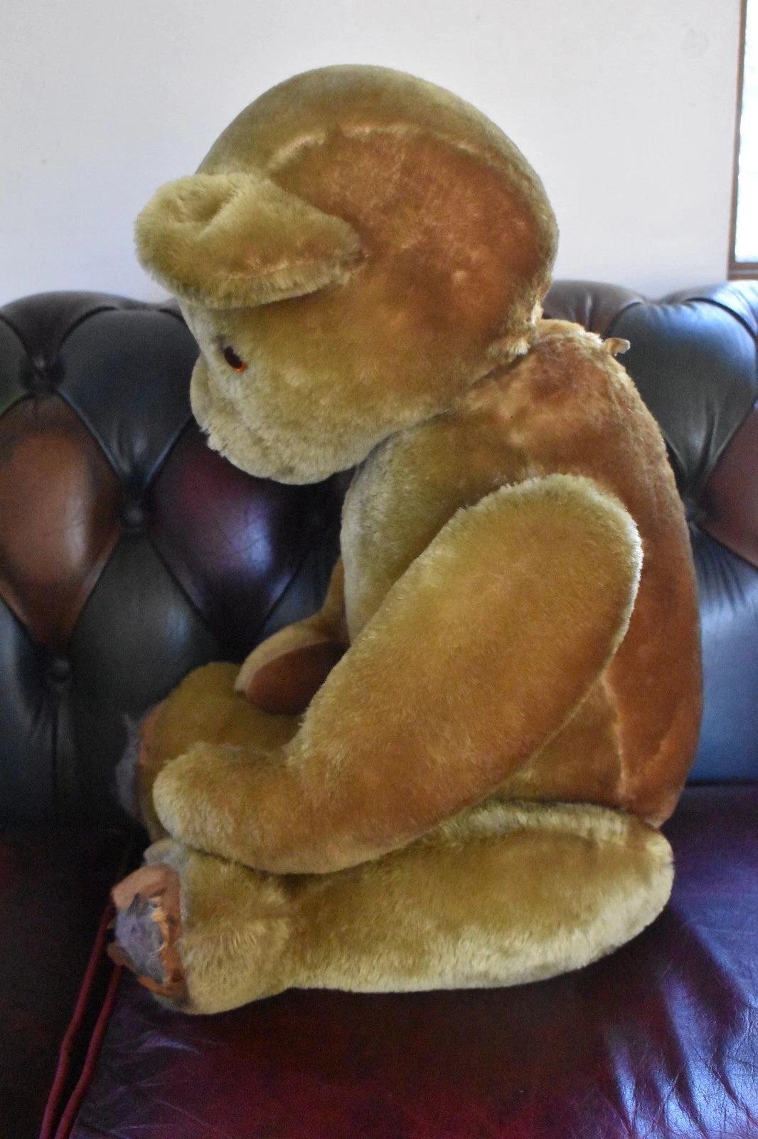 Vintage 1950s Pedigree Mohair Teddy Bear Bells 70cm Large Collectable