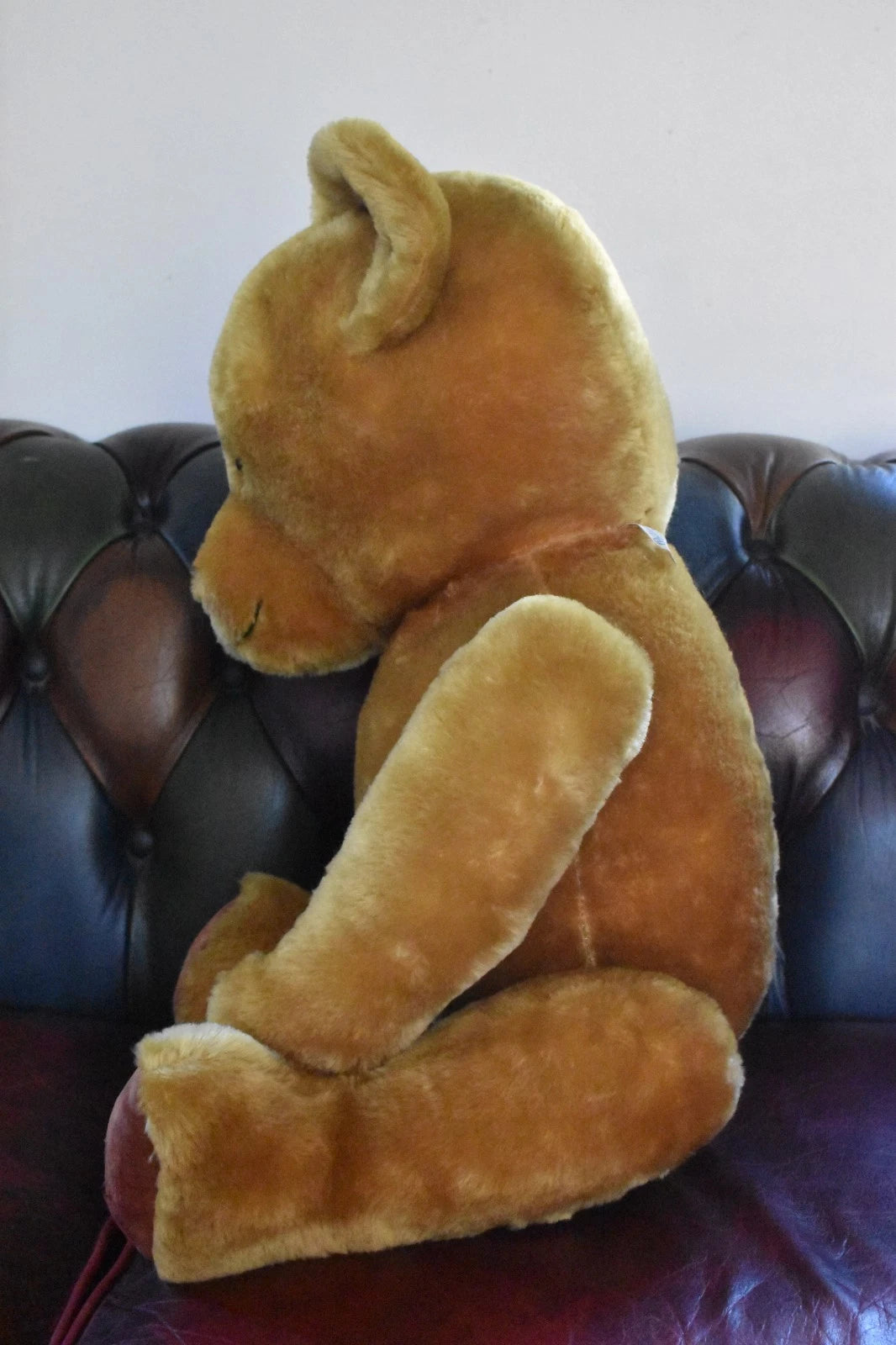 Vintage 1950s Pedigree Mohair Teddy Bear Winnie The Pooh Bells 70cm Collectable