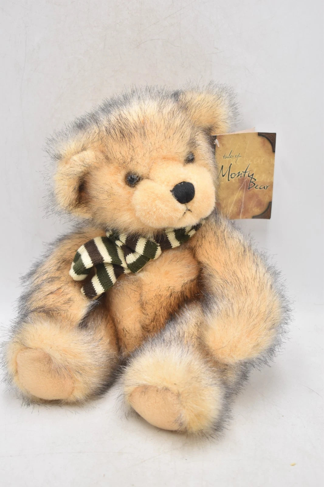 Tales of Monty Bear Plush Teddy Bear – Lesser & Pavey Tagged Soft Toy
