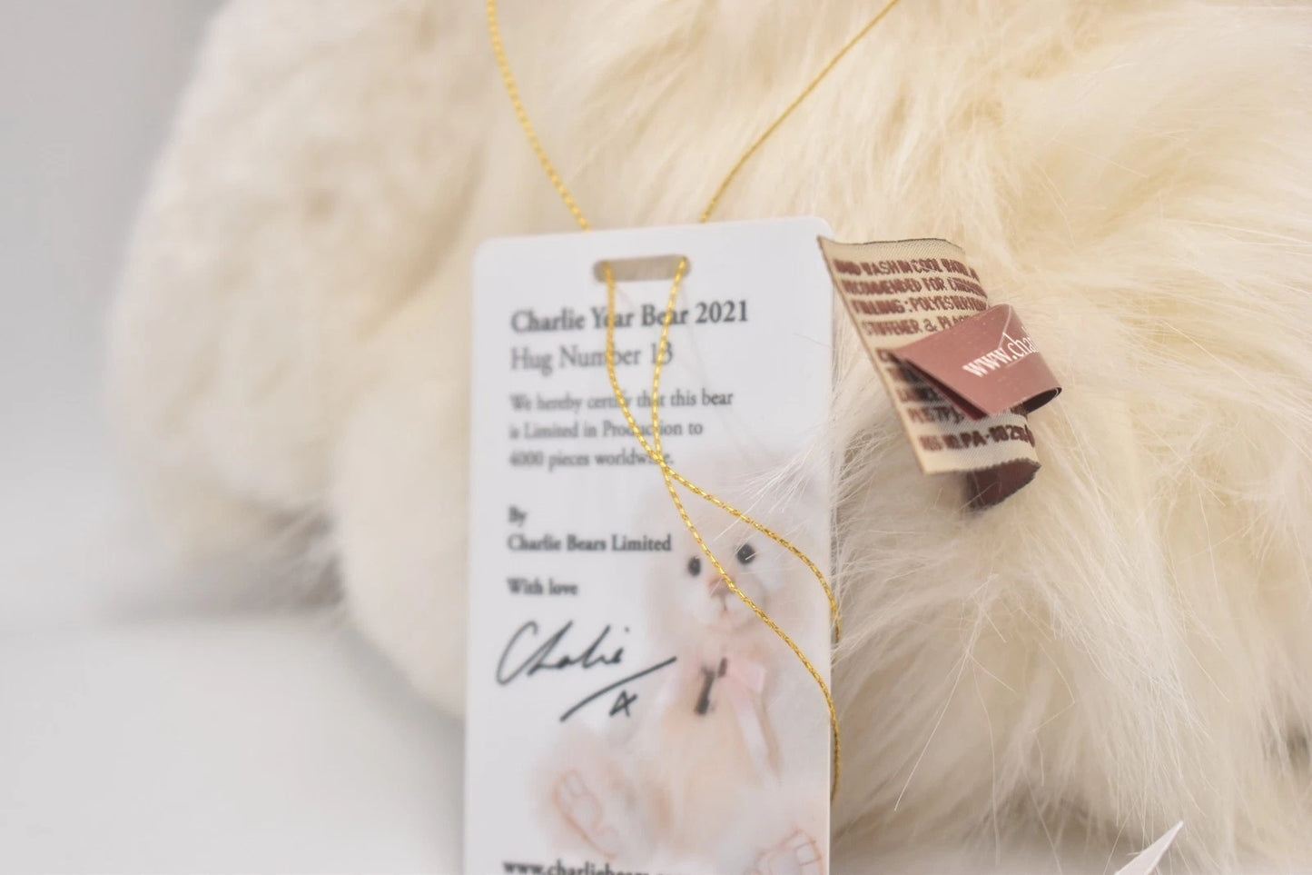 Charlie Bears Year Bear 2021 Hug 13 Teddy Bear Retired Tagged Isabelle Lee