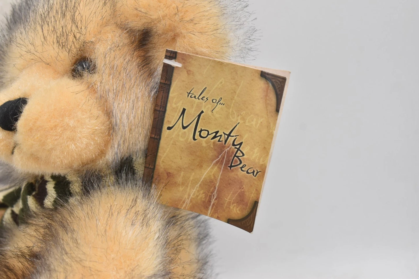 Tales of Monty Bear Plush Teddy Bear – Lesser & Pavey Tagged Soft Toy