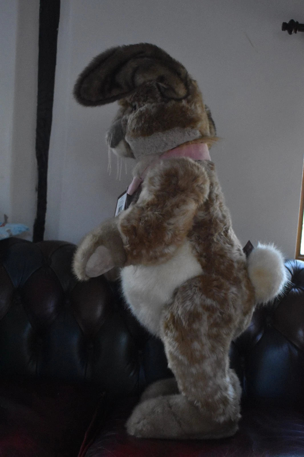 Charlie Bears Malibu Rabbit Isabelle Lee Limited Edition 437/1000 Retired Tagged
