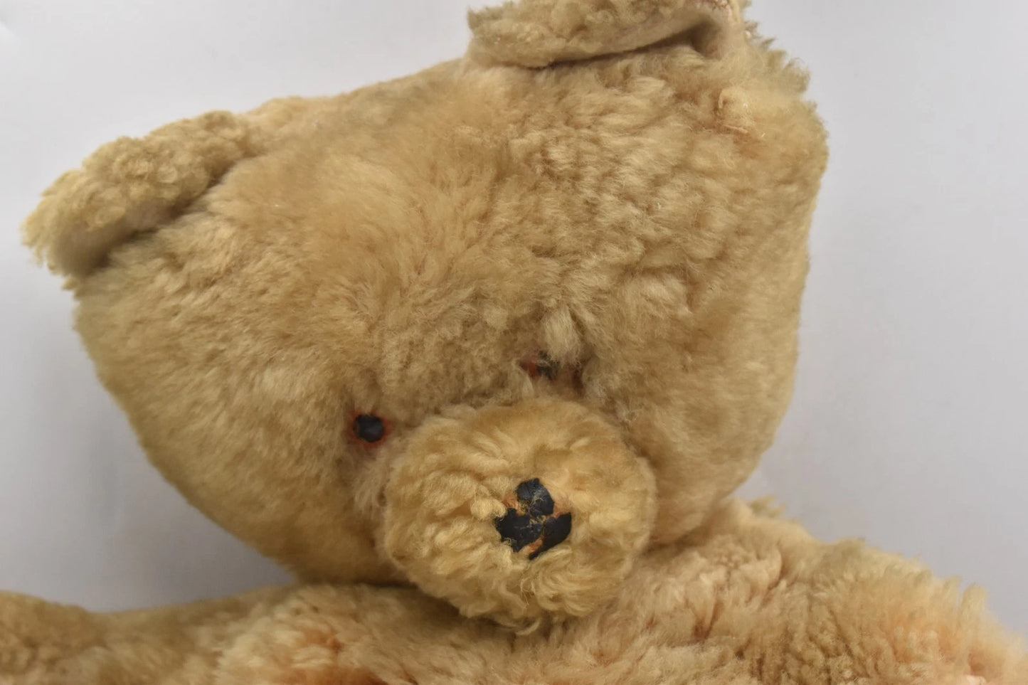 Vintage 1960s Sheep’s Wool Teddy Bear Growler Pyjama Case 60cm
