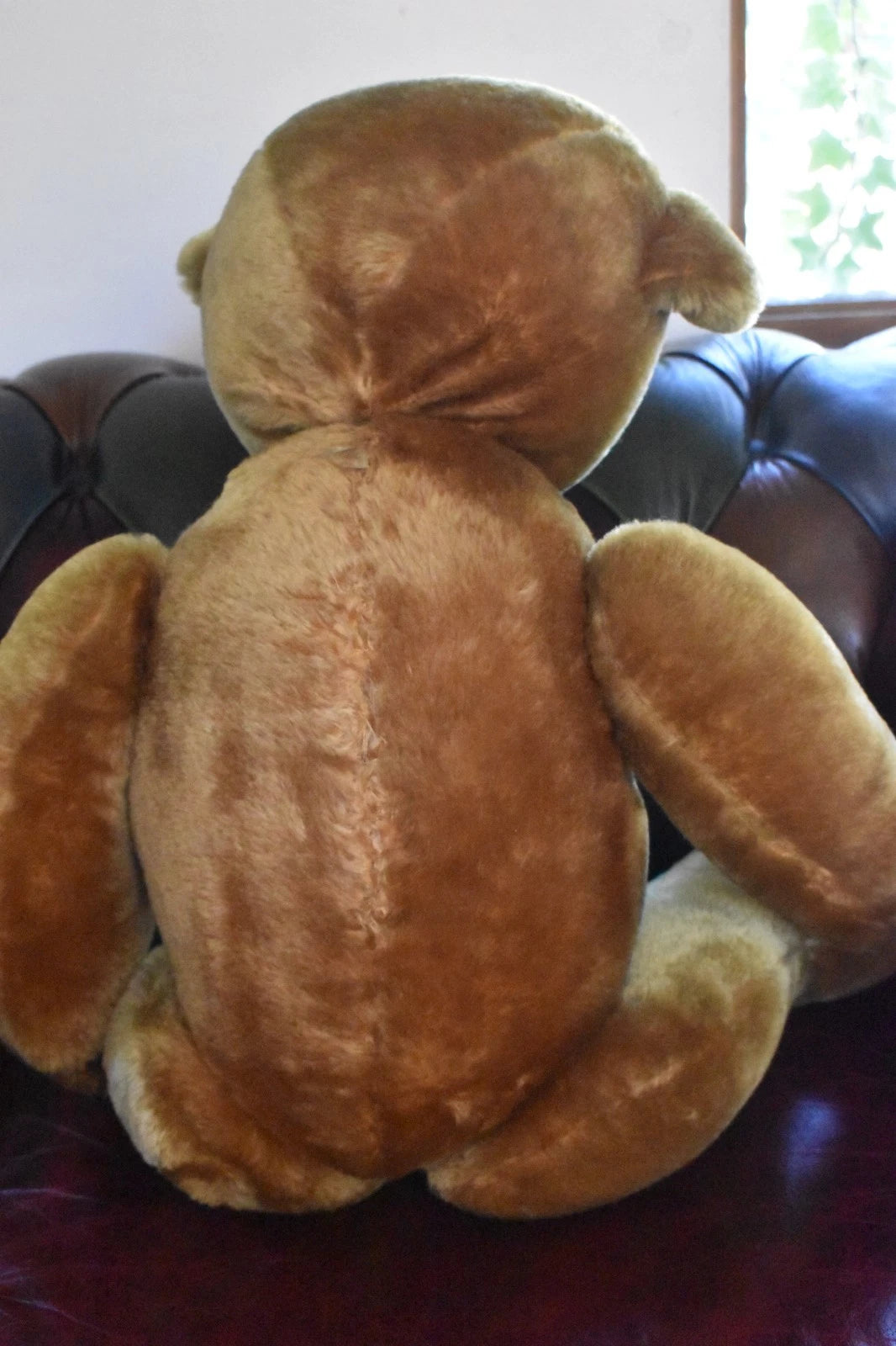 Vintage 1950s Pedigree Mohair Teddy Bear Bells 70cm Large Collectable