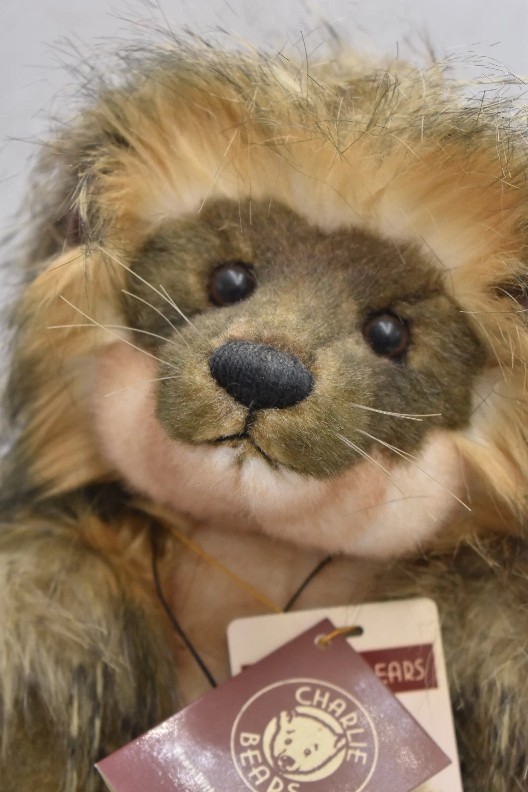 Charlie Bears Quill-I-AM Teddy Bear Limited Edition Retired Isabelle Lee Tagged