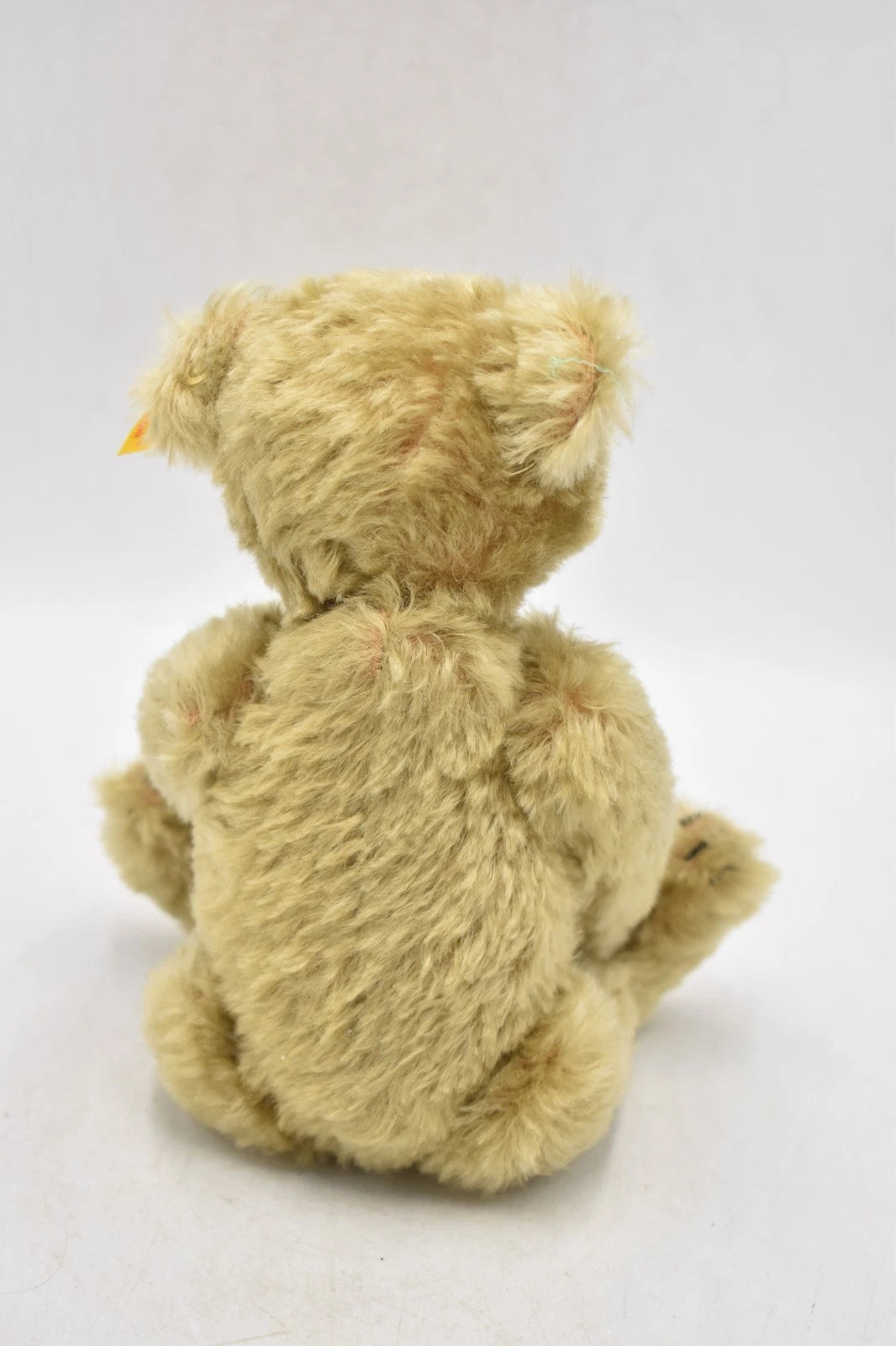 Steiff Classic 1920 Replica Teddy Bear 000713 Golden Mohair 25cm