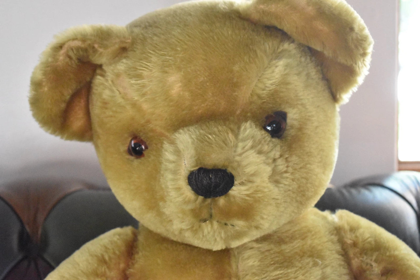 Vintage 1950s Pedigree Mohair Teddy Bear Bells Working Growler 70cm Collectable