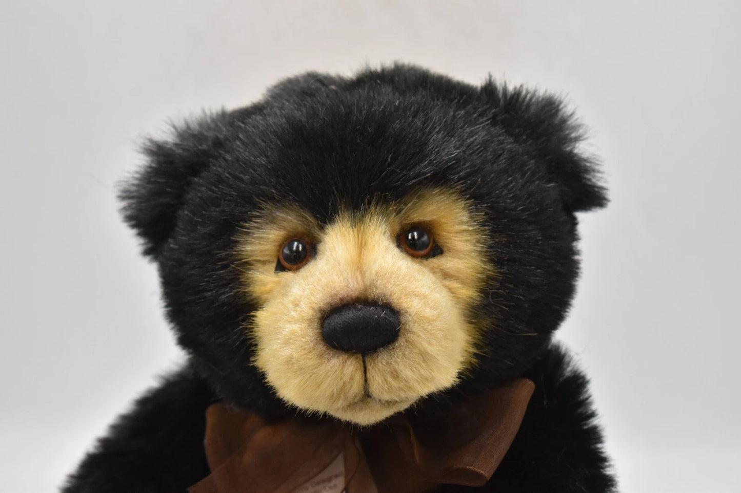 Charlie Bears Anniversary Seth Isabelle Lee Design Retired - Tagged