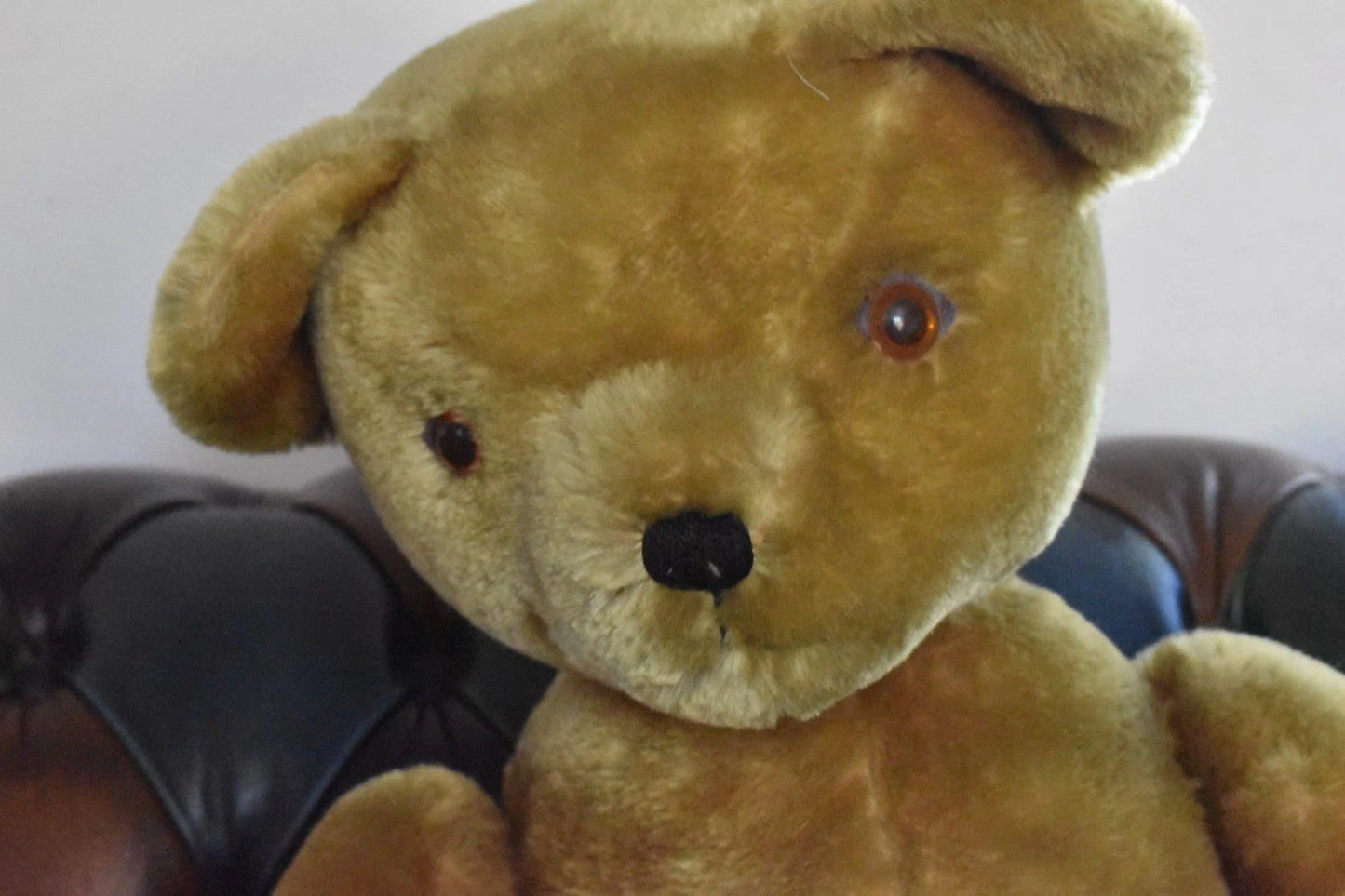 Vintage 1950s Pedigree Mohair Teddy Bear Bells 70cm Large Collectable