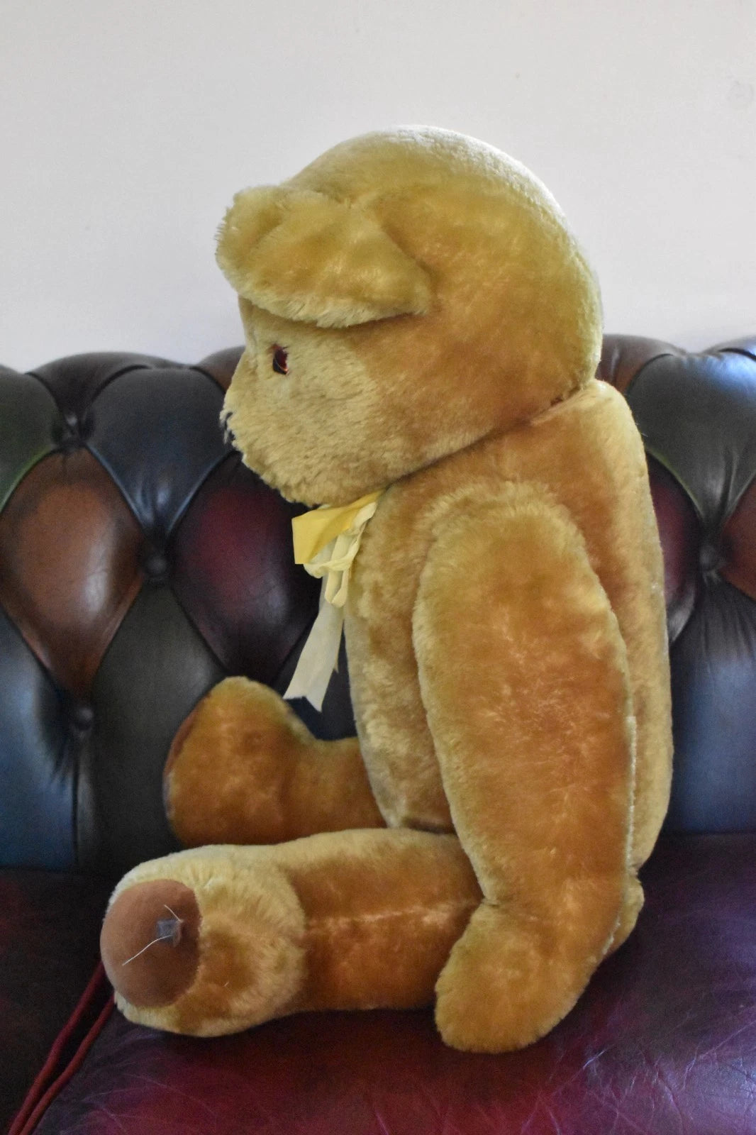 Vintage 1950s Pedigree Mohair Teddy Bear Bells 70cm Large Collectable
